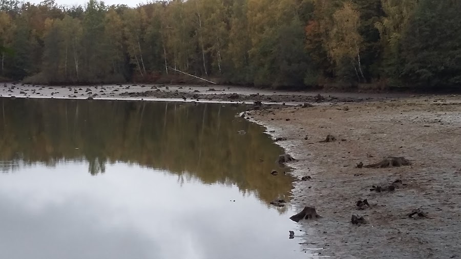 Piscine des sept chevaux