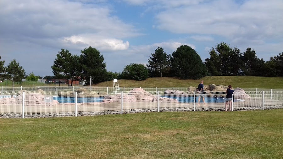 Bassin d'été