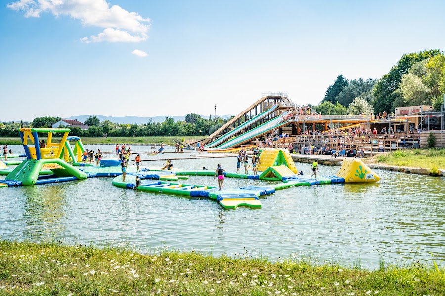Drop-in Dracénie