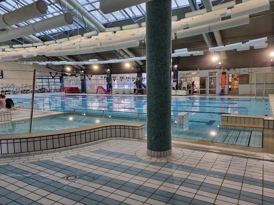 Les Dauphins du Parc