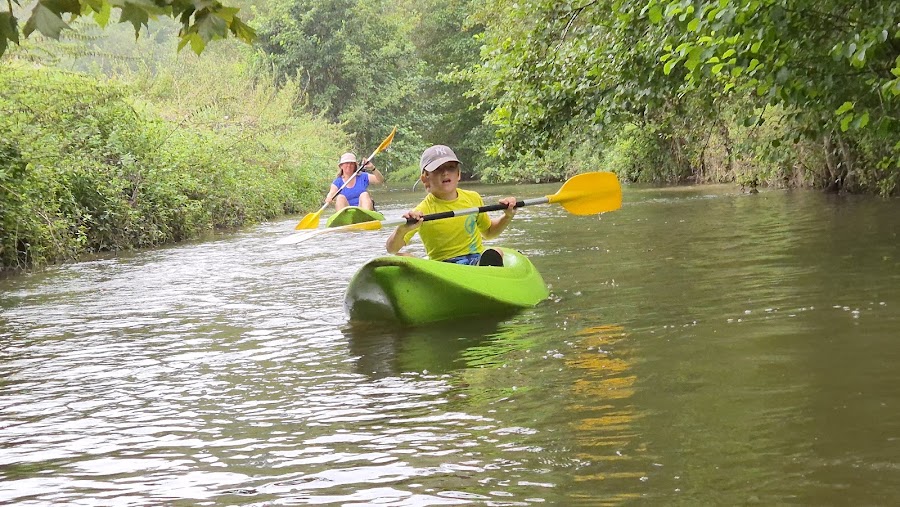 Jungle Canoë