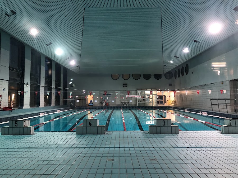 Piscine Cour des lions
