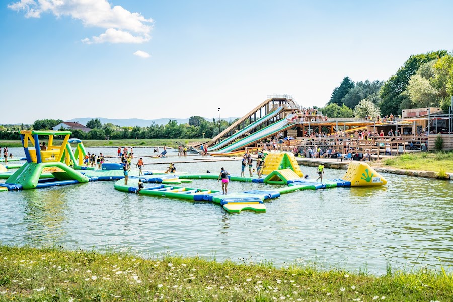 Drop-in Dracénie